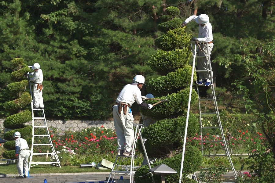 有限会社宮本造園